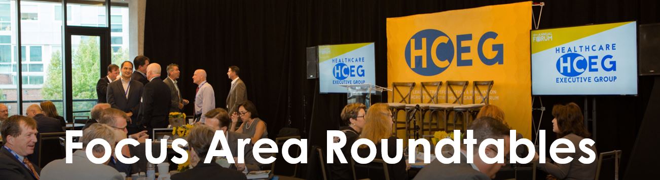 HCEG Focus Area Roundtables Healthcare Executives Changemakers Networking