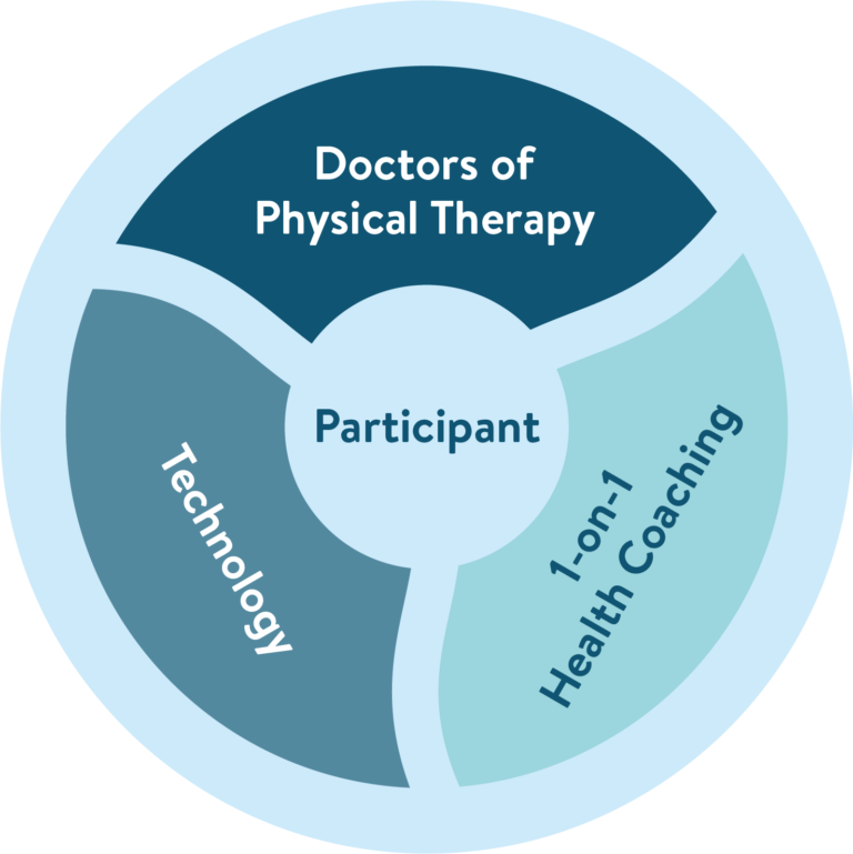 Spotlight on Musculoskeletal (MSK) Programs Hinge Health HealthCare